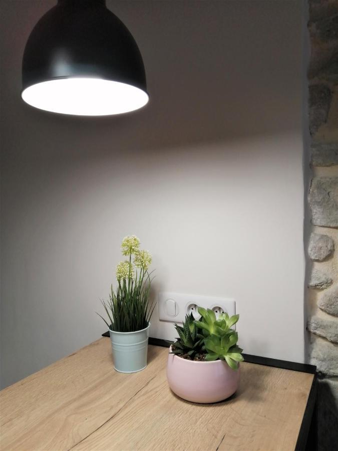 Le Petit Studio - 15 M2 - Centre Ville - Sorgue A 50 M LʼIsle-sur-la-Sorgue Exteriér fotografie